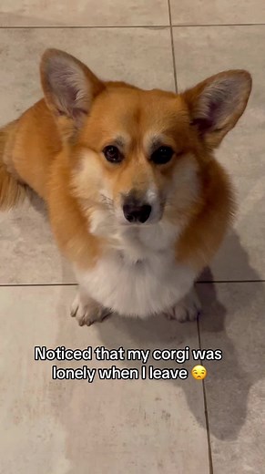 Chopa & Topa on TikTok