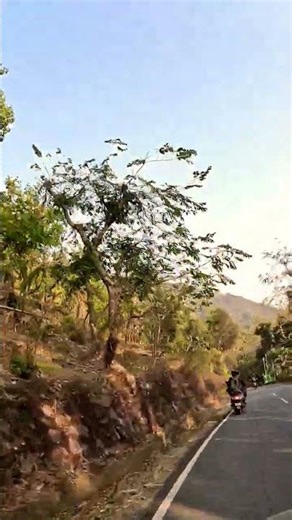 ghoomne nikalte hue .. #nature