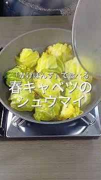 Enjoy with ponzu sauce! Spring cabbage shumai #cooking #Kyoto