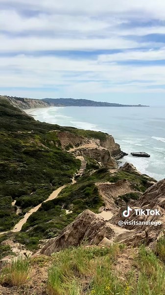 Explore the Iconic Torrey Pines Coastal Hike