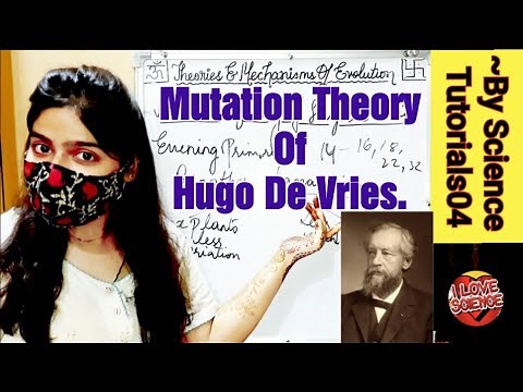 (P-4)MUTATION THEORY OF EVOLUTION BY HUGO DE VRIES| EVOLUTION- THEORIES & MECHANISMS| BIOLOGY-12TH