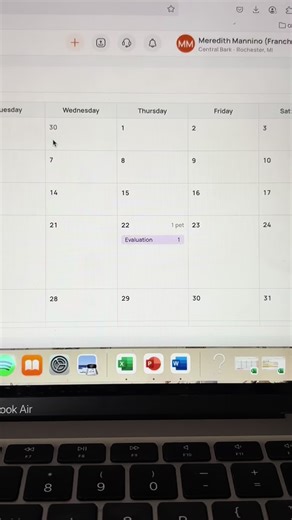 Central Bark Doggy Daycare: The Best for Your Pet