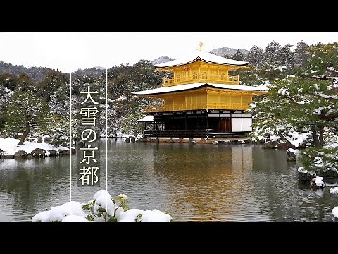 【4K Snowfall】 Kyoto blanketed in snow as a winter storm hits a wide range of Japan. 大荒れの京都