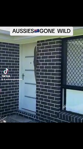 Aussie Tourist Ad 🇦🇺🍻 #aussiesgonewild #australian #tourist #ad #fyp #aussie #snakes #crocs #koala #magpie #viral #fbreels | Aussies Gone Wild