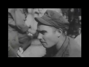 横浜（日本）の風景 記録映像