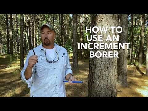 Haglöf Increment borer - How to Use an Increment Borer