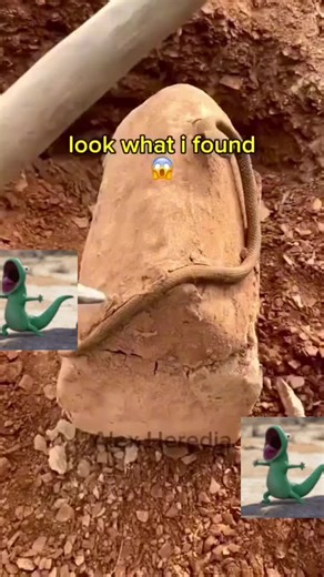 papi chulo 😁😁😁😁 (@felixpalax)’s videos with Estás seguro que está quedando bien - Jorge Angel Fabregas