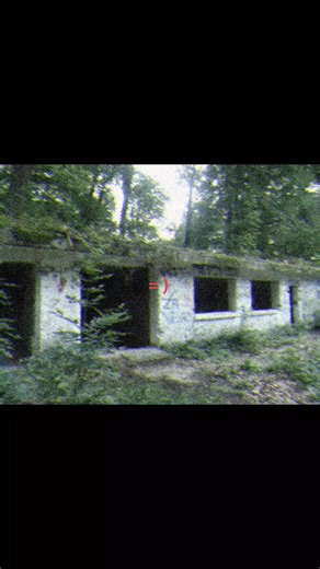 接电话时究竟在讲什么？