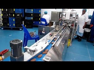 línea de envasado automático, Envasadora horizontal, Flowpack,Envasadora Horizontal Flow-Pack