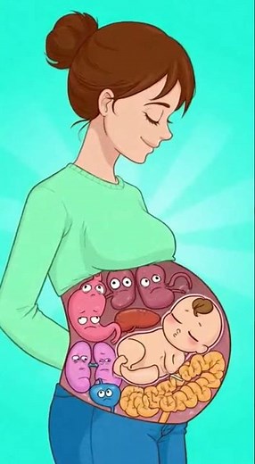 When the Baby Takes Over Mom’s Organs 😂 | Funny Pregnancy Animation