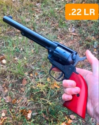 .22 LR VS .22 MAG Revolver test #shorts #range #edc #tacticalshooter #yt #western #valkilmer