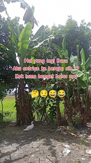 EDY KURNIAWAN (@edi.oppo90)’s videos with suara asli - EDY KURNIAWAN
