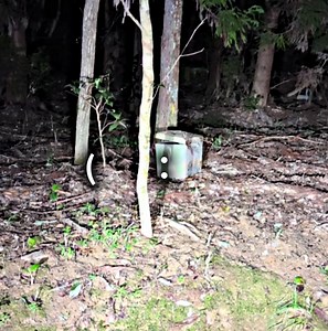 あんたに首ったけ — もあ様の廃村心霊切り抜き