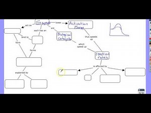 Enzyme Concept Map