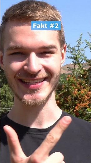 Krasse Fakten über Videospiele..🎮 MrLuchs #Shorts