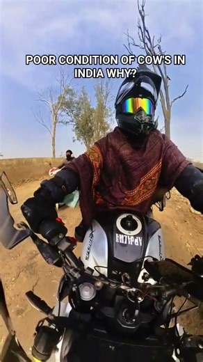 The poor condition of cows in India is a serious issue. #popla #automobile #apjalwa