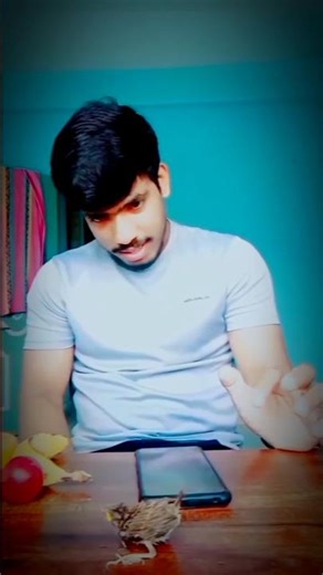 🐦ek Nanhi Si chidiya rescue🥰 #shorts #ytshorts