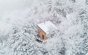 房屋建造 | 在加拿大森林买块地 搭建自己的木屋 BY Canadian Castaway