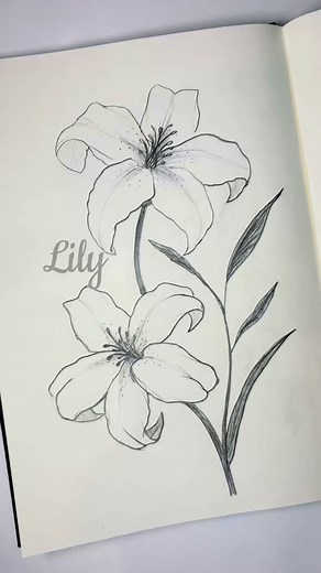 Easy Lily Drawing Tutorial for Beginners