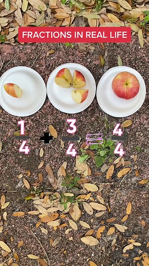 Discover How Fractions Are Used in Everyday Life