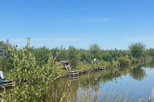 Betcio - Güncel Giriş | Betcio Mobil Erişim | 2025 Link