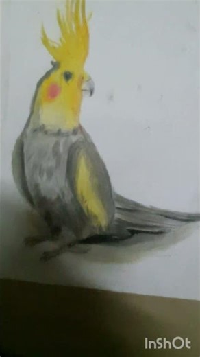 I tried a realistic drawing of Cocktail #plz subscribe#