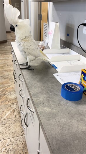 Fixchix (@fixchix)’s videos with original sound - Fixchix