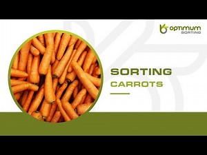 How to sort whole carrots? | Optimum Sorting