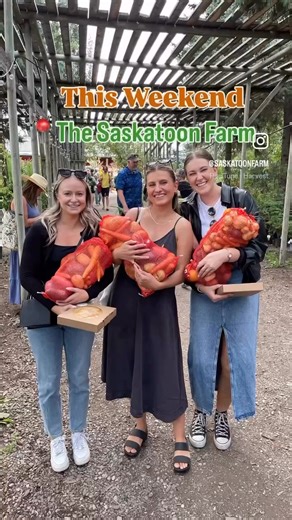 What to Expect: 🌾 100 local vendors with handcrafted goods you won’t find anywhere else 🎶 Live folk & country music on the outdoor stage all day 🍕 Delicious eats: fire-baked pizza, food trucks, pastries & cozy fall drinks 🚜 Wagon rides, carnival games & family-friendly fun 🍎 Farmer’s Market packed with fresh, farm-grown produce — fill-a-bag and bring the harvest home ✨ Farm Food & Drink: Restaurant: 9:00 am – 4:00 pm (no reservations) Bakery Cafeteria: 9:00 am – 4:00 pm Tickets:$8 online, $