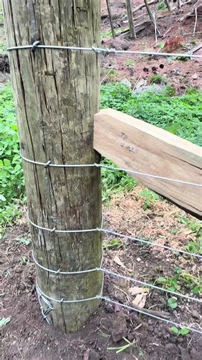 DIY Fencing Repairs for NZ Farmers