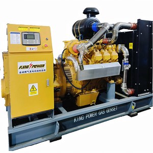 [Hot Item] 100kw Biogas Generator Set Farm Use with Desulfurizing System