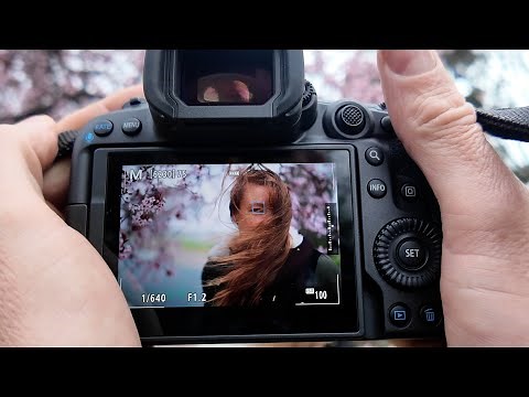 Canon R5 Mark ii Eye-Autofocus Testing: How Does it Compare to the R5 and R3?