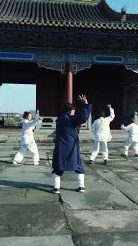 Tai Chi 18 Forms-Part2/ 太极十八式第二部分#kungfu #martialarts #chenlisheng #wudangtaichi #chenlisheng