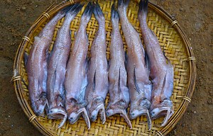 1.7M views · 11 reactions | Lote Fish Curry Recipe | Village Style Delicious Lote Fish Recipe | Cooking Village Food Recipes | villfood | Facebook