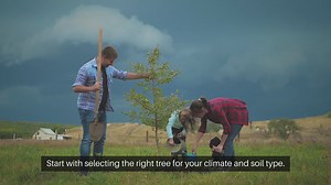 Indoor Herb Garden Tips