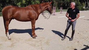 6.9K views · 175 reactions | It is Wednesday and that means we have a...