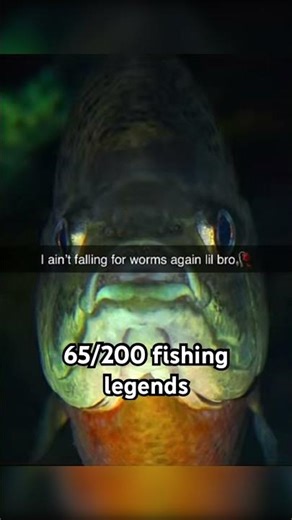 If fish could send snaps#fishing