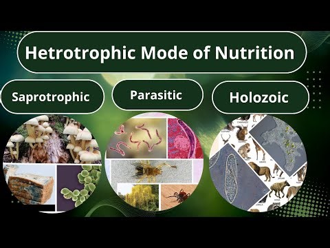 Heterotrophic Mode of Nutrition|Saprotrophic,Parasitic & Holozoic| knowledge science |Akshay Raj Sir