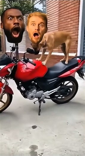 Watch the Epic Fail! Dog Tries to Ride a Motorcycle! 🤣