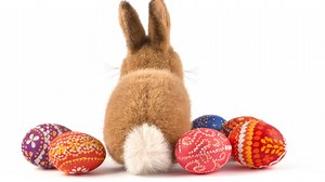 Egg-ceptional Easter related jokes and puns to tell your friends and family