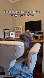 The smirk says it all 🤣🤣🤣🐾 #frenchie #frenchbulldog #funnydog #dogs #funnydogs | TJ The Frenchie