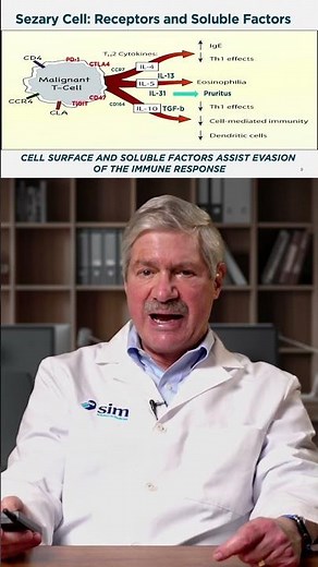 T Cells Explained - CCR4, TARC CCL21 & Immune Evasion