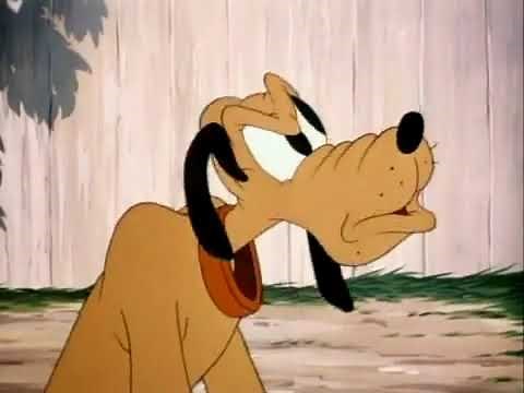 A Feather in His Collar (1946) [Pluto] - Walt Disney Cartoon