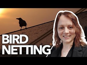 Designing bird netting structures