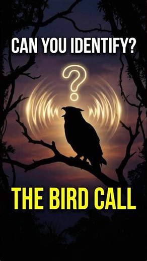 Identify This Bird Sound - Guess the Bird Challenge #birdsounds #wildlife #quiz