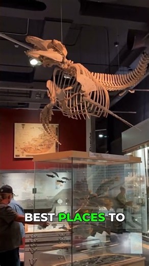 Explore Newfoundland's History at 'The Rooms'!