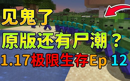 我的世界：1.17单人极限生存，谁见过尸潮？