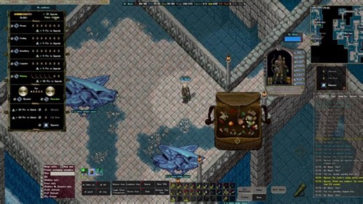 New Player Exploring a New Dungeon.