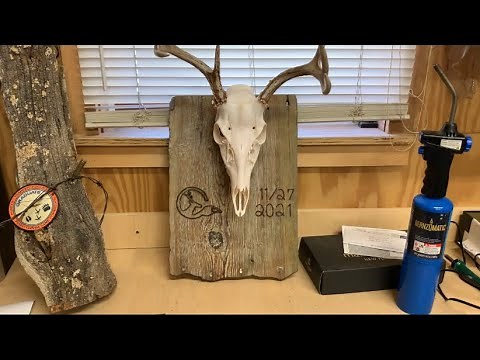 DIY Barn Wood European Mount