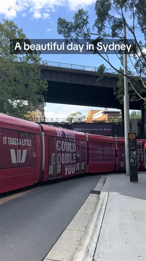 Exploring the Beauty of Sydney, Australia